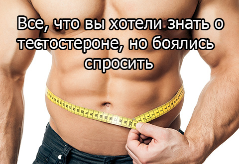 Все, что вы хотели знать о тестостероне, но боялись спросить